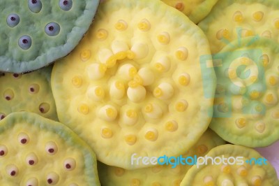 Lotus Seeds Pod Background Stock Photo