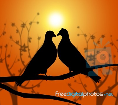 Love Birds Represents Heart Compassion And Boyfriend Stock Image