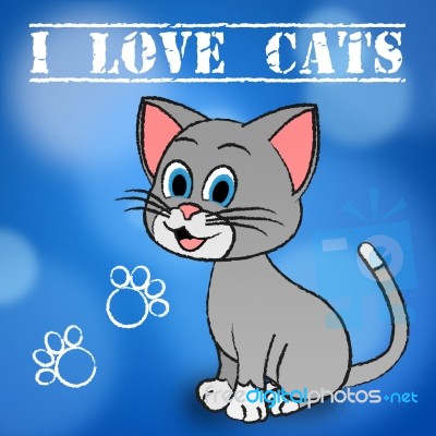 Love Cats Shows Pet Loved And Heart Stock Image