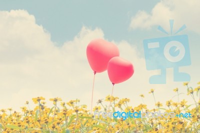 Love Concept Background Stock Photo