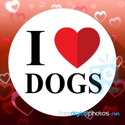 Love Dogs Indicates Fabulous Delightful Superb Pets Stock Image