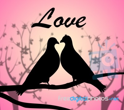 Love Doves Represents Compassionate Tenderness And Heart Stock Image