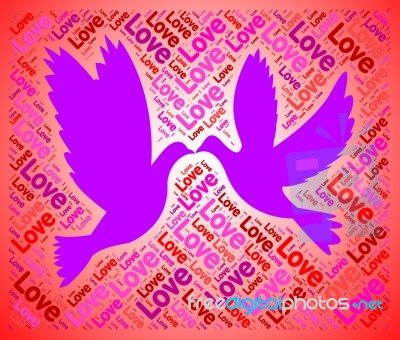 Love Doves Represents Lover Fondness And Compassionate Stock Image