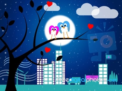 Love Night Indicates Flock Of Birds And Affection Stock Image