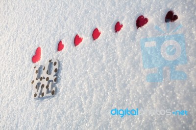 Love On Valentine's Day Stock Photo