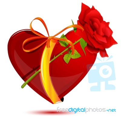 Love With Rose Stock Image