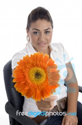 Lovely Girl Showing Orange Gerbera Flower Stock Photo