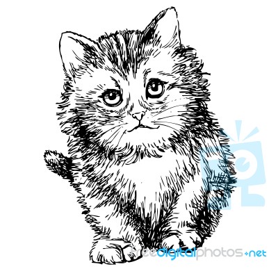 Lovely Kitten Hand Drawn Stock Image