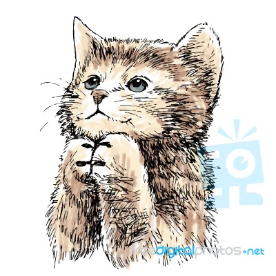 Lovely Kitten Hand Drawn  Stock Image