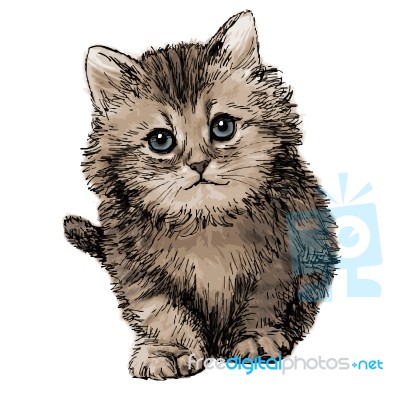 Lovely Kitten Hand Drawn Stock Image