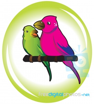 Loving Birds Stock Image