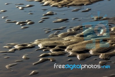 Low Tide Stock Photo