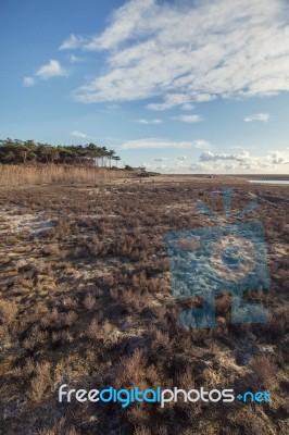 Low Tide Marshland Stock Photo