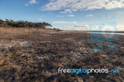 Low Tide Marshland Stock Photo