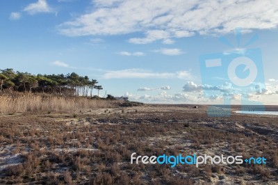 Low Tide Marshland Stock Photo