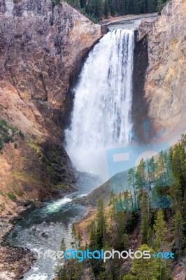 Lower Yellowstone Falls Stock Photo