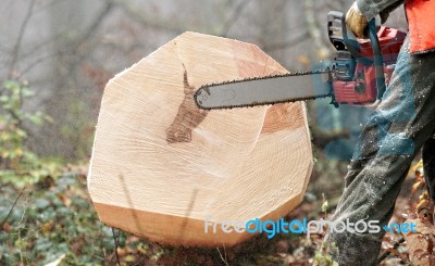 Lumberjack Stock Photo