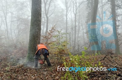 Lumberjack Stock Photo