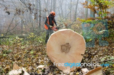 Lumberjack Stock Photo