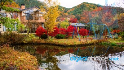 Luxury House With Autumn Color Leaves Stock Photo