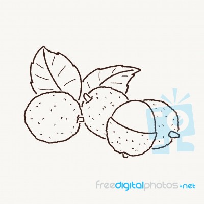 Lychee Stock Image