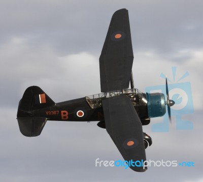 Lysander Stock Photo