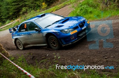 M. Cairns Driving Subaru Impreza Stock Photo