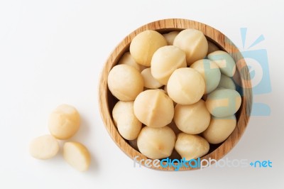 Macadamia Stock Photo