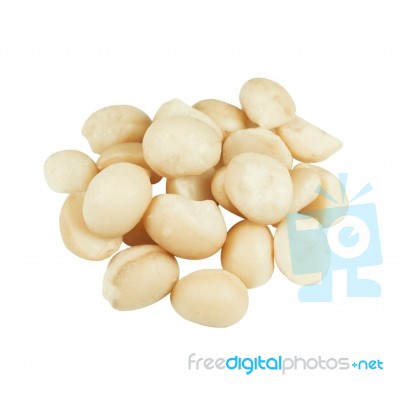 Macadamia Isolated On White Background Stock Photo