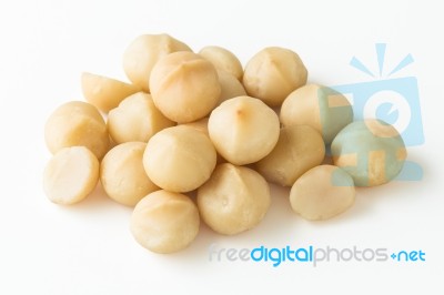 Macadamia Nuts Stock Photo