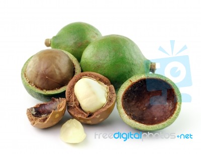 Macadamia Nuts On White Background Stock Photo