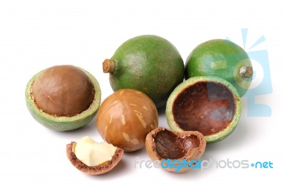 Macadamia Nuts On White Background Stock Photo