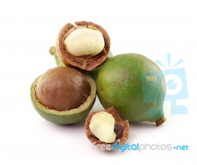 Macadamia Nuts On White Background Stock Photo