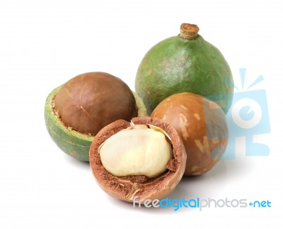 Macadamia Nuts On White Background Stock Photo