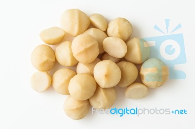 Macadamia On White Stock Photo