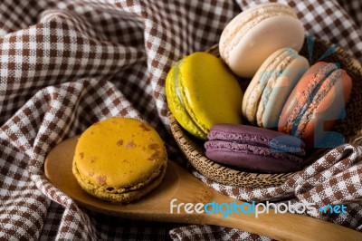 Macaron Or Gerber Stock Photo