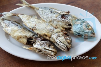 Mackerel Stock Photo