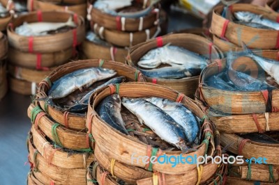 Mackerel Fish Stock Photo