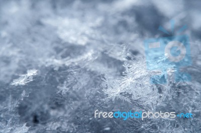 Macro Of A Snowflake In Natural Surroundings Stock Photo