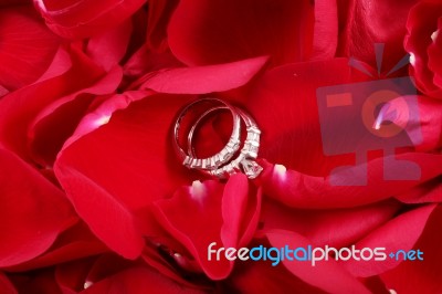 Macro Shot Of Set Of Wedding Rings In Red Rose Petals Stock Photo