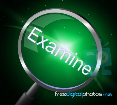 Magnifier Examine Indicates Check Up And Magnification Stock Image