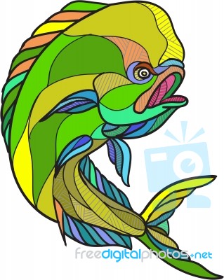 Mahi-mahi Dorado Dolphin Fish Drawing Stock Image