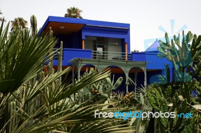 Majorelle Gardens, Marrakech Stock Photo