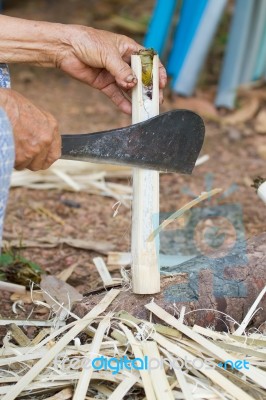 Making Rice Cooked In Bamboo Stock Photo