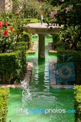 Malaga, Andalucia/spain - July 5 : View Of The Gardens Outside T… Stock Photo