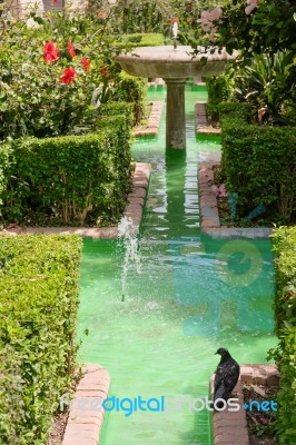 Malaga, Andalucia/spain - July 5 : View Of The Gardens Outside T… Stock Photo