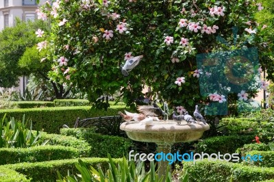 Malaga, Andalucia/spain - July 5 : View Of The Gardens Outside T… Stock Photo