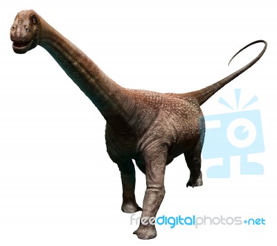 Malawisaurus Stock Image