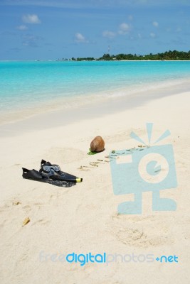 Maldives Concept With Coconut Fruit And Snorkeling Equipment Stock Photo