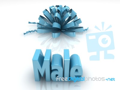 Male Stock Image